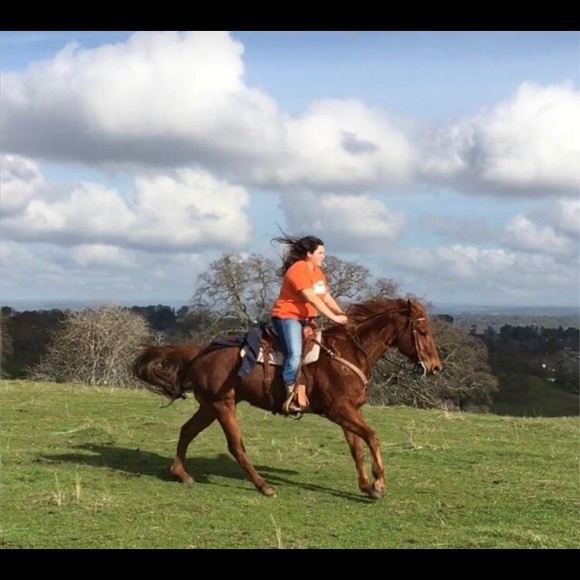 Meet your Posher, Samantha - Picture 1 of 1